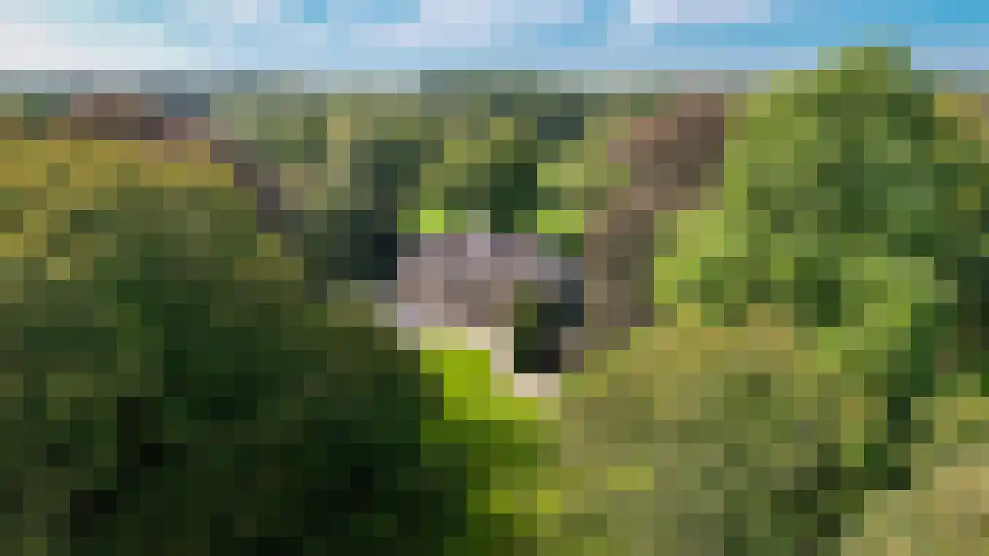 Le Chevalierlaan 3 B Epe thumbnail 43