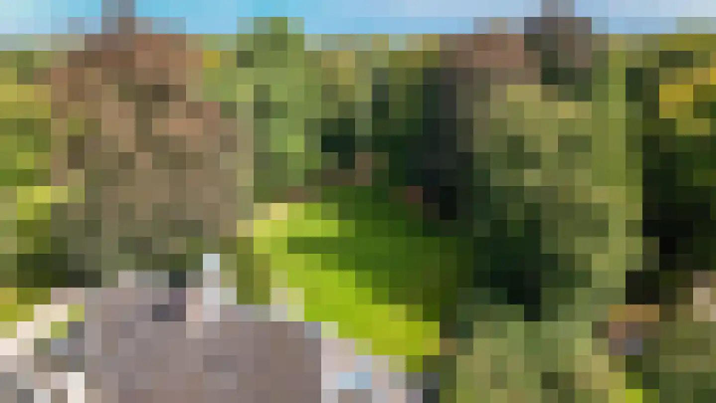 Le Chevalierlaan 3 B Epe thumbnail 44