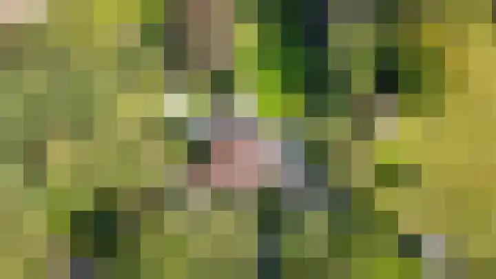 Le Chevalierlaan 3 B Epe thumbnail 45