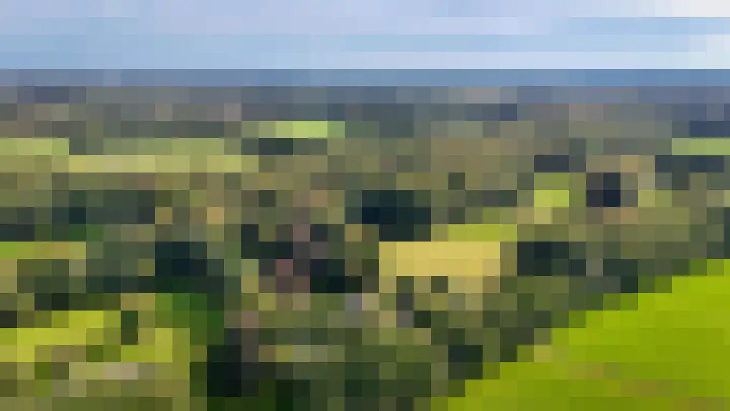 Le Chevalierlaan 3 B Epe thumbnail 47