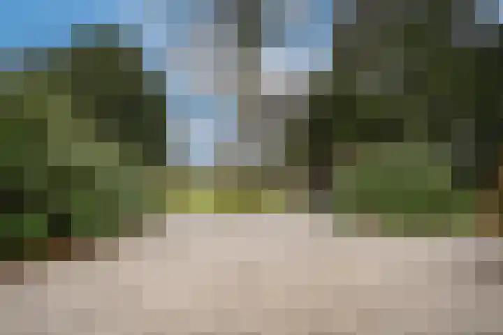 Le Chevalierlaan 3 B Epe thumbnail 51