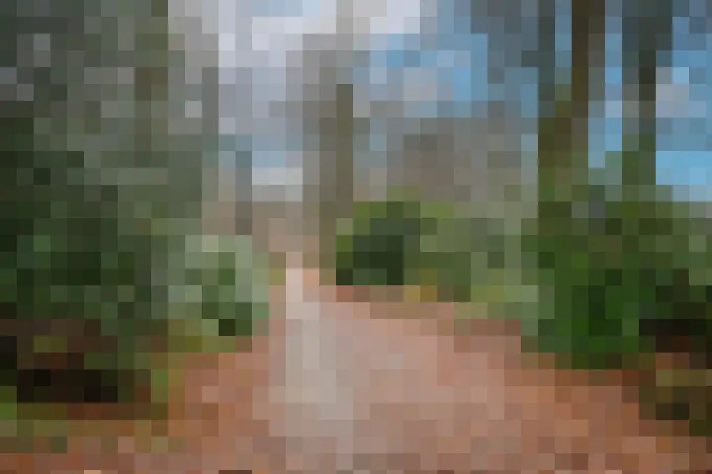 Le Chevalierlaan 3 B Epe thumbnail 52