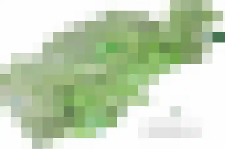 Le Chevalierlaan 3 B Epe thumbnail 54
