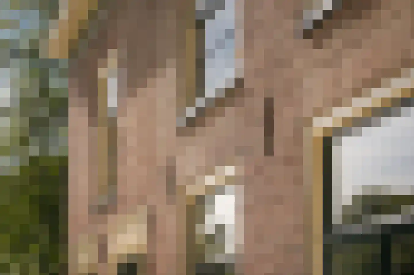 Le Chevalierlaan 3 B Epe thumbnail 7