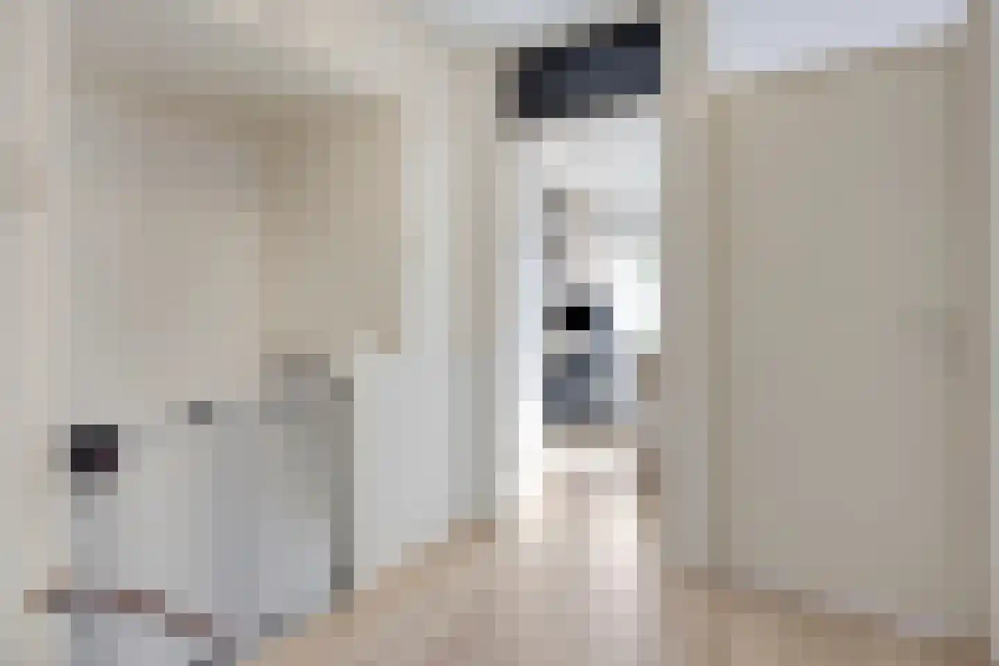 Le Corbusierlijn 15 Zoetermeer thumbnail 17