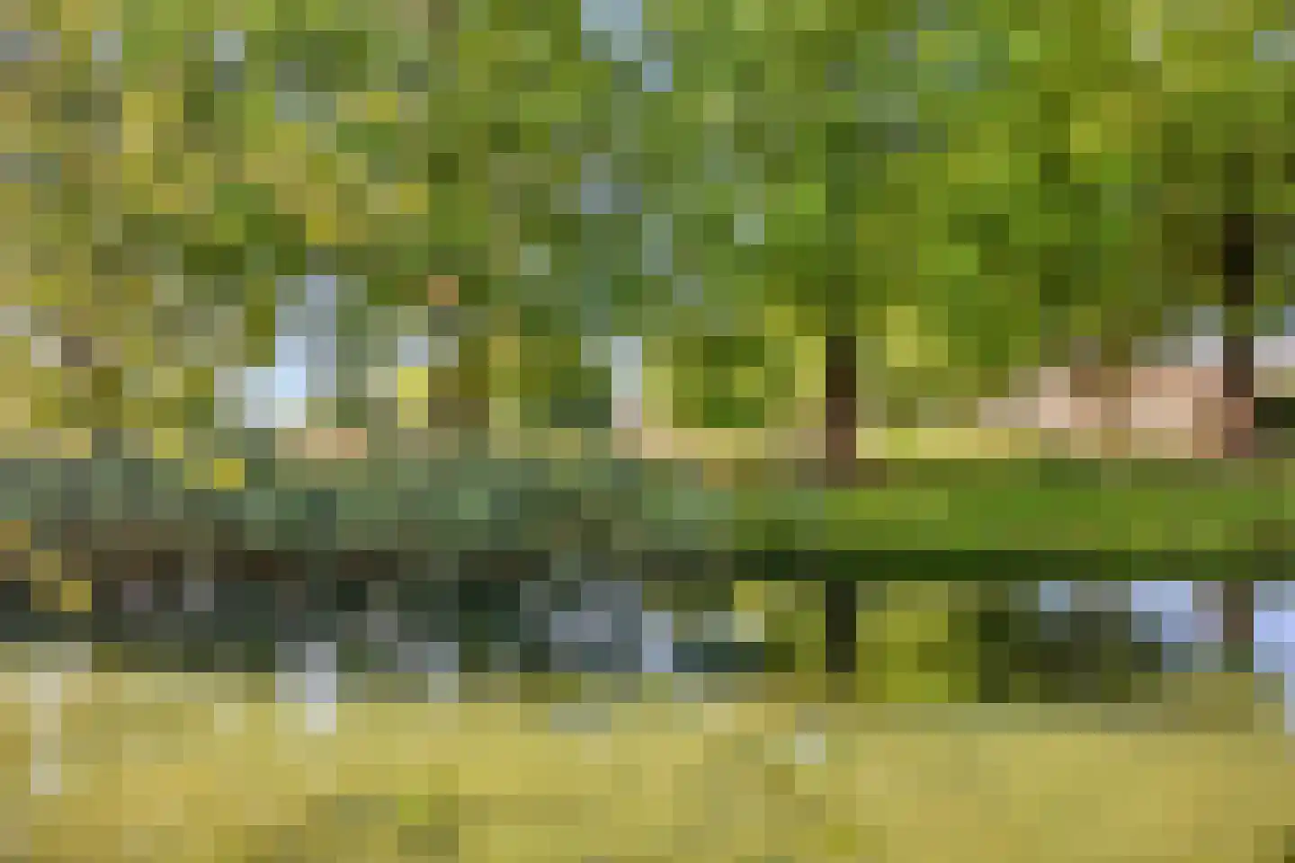 Le Corbusierlijn 15 Zoetermeer thumbnail 30