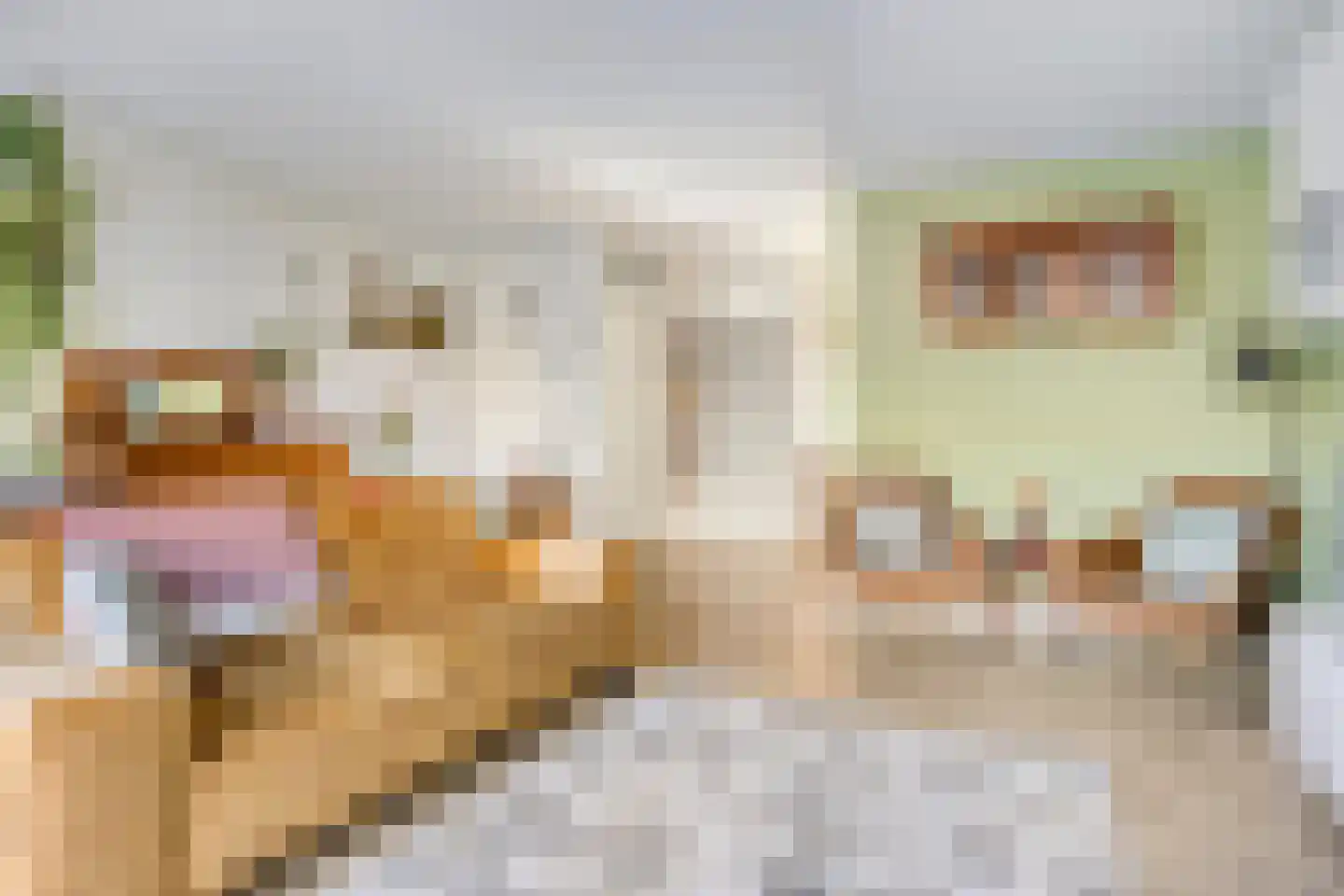 Le Corbusierlijn 15 Zoetermeer thumbnail 8