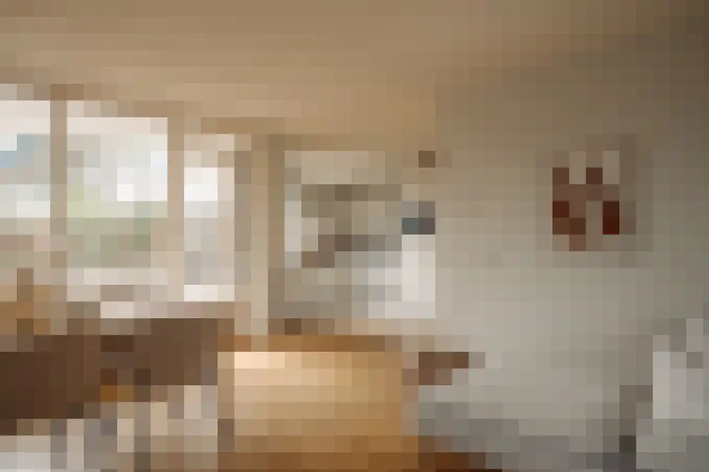 Le Mairekade 1 Amsterdam thumbnail 9