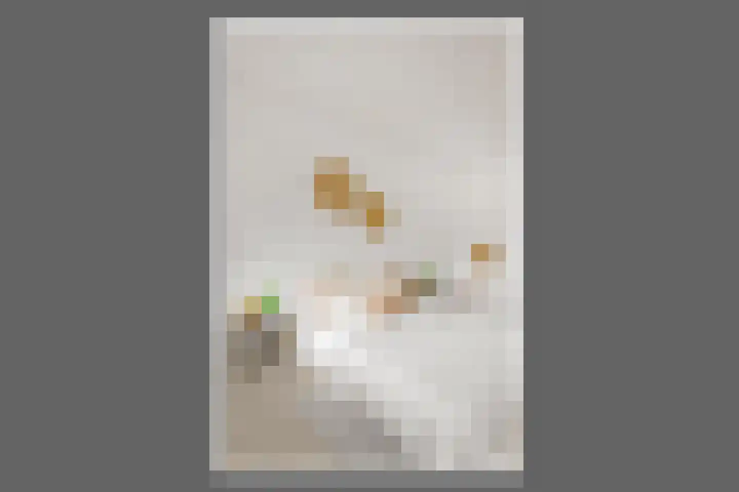 Le Mairekade 109 Amsterdam thumbnail 13