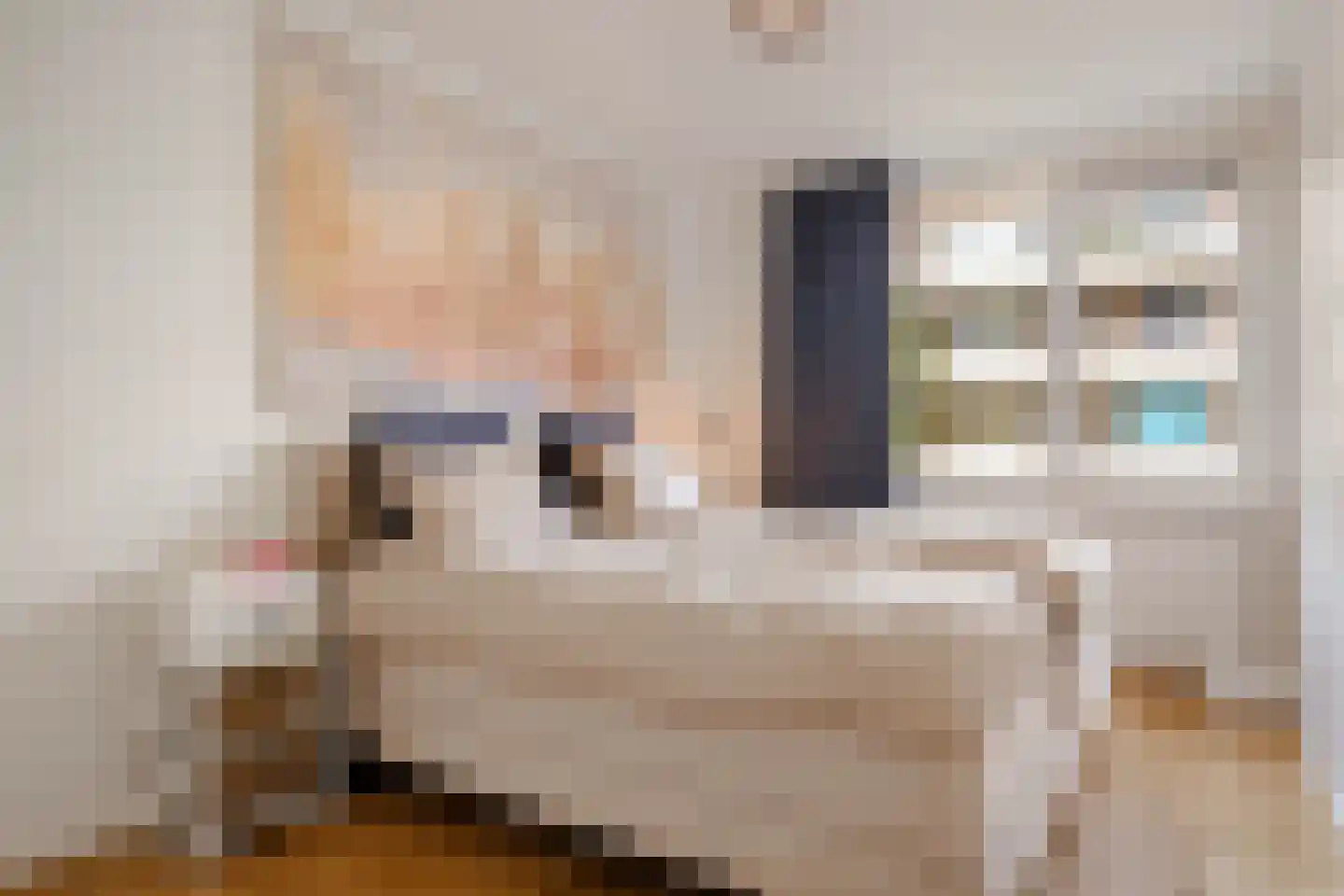 Le Mairekade 54 Amsterdam thumbnail 16