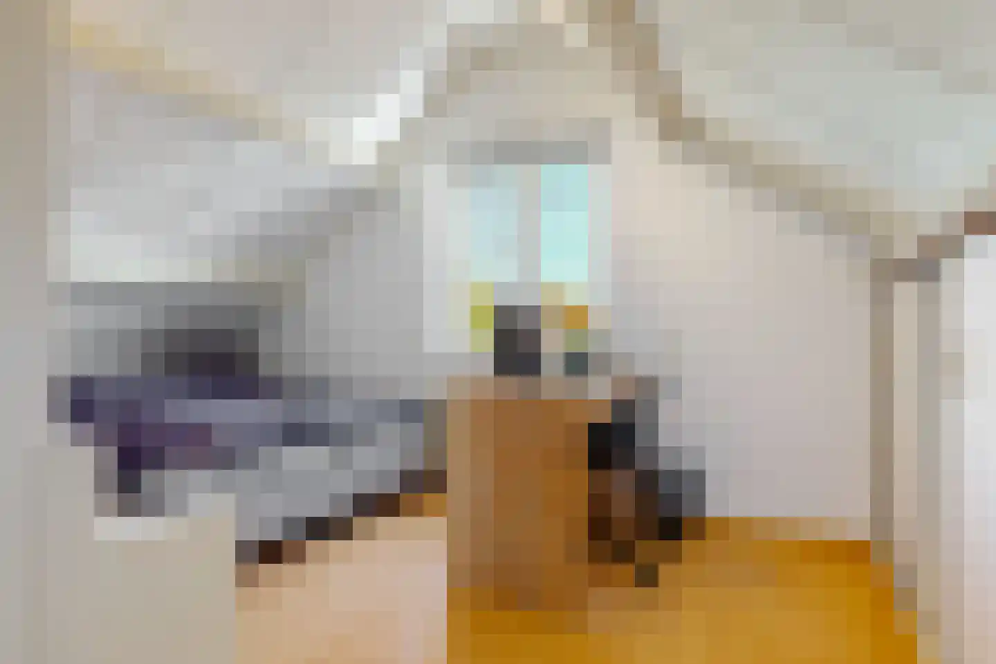 le Maitreweg 14 Renkum thumbnail 24