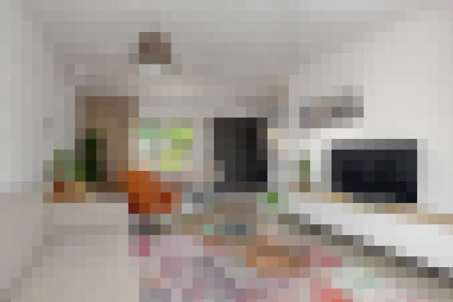 le Maitreweg 14 Renkum thumbnail 5