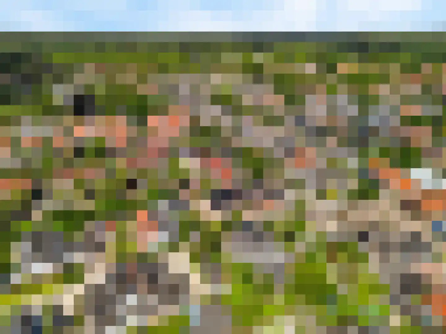 le Maitreweg 14 Renkum thumbnail 50