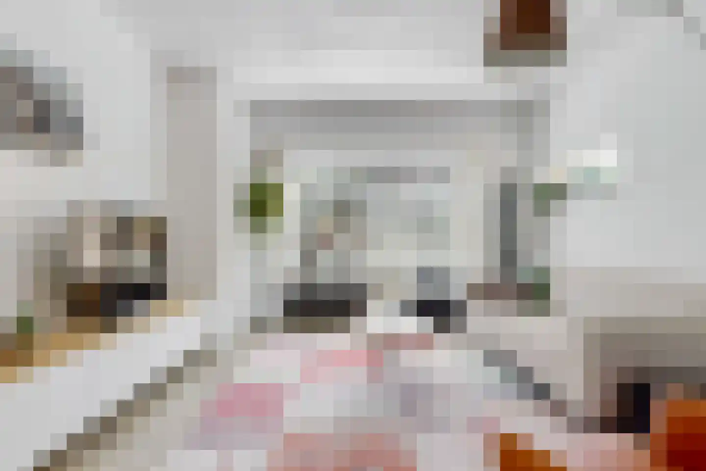 le Maitreweg 14 Renkum thumbnail 6