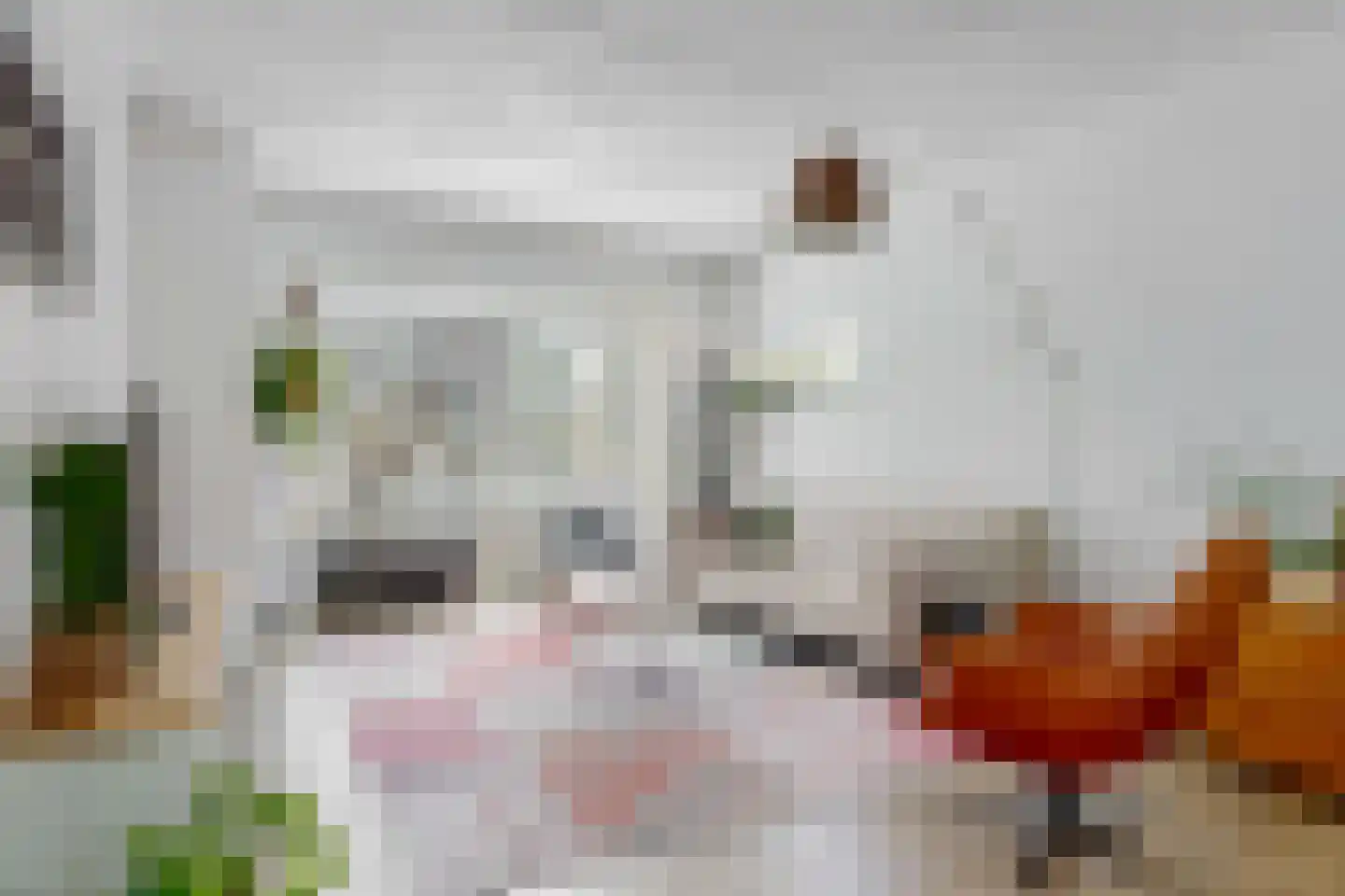 le Maitreweg 14 Renkum thumbnail 7