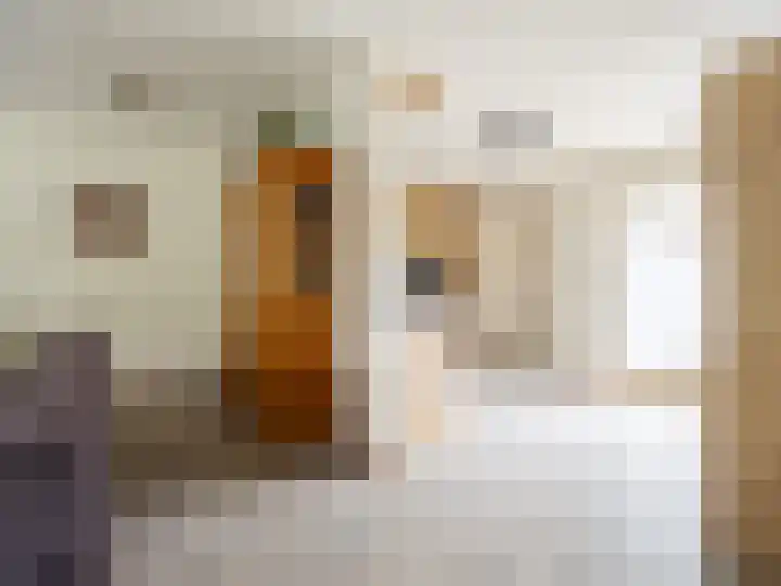 le Maitreweg 8 Renkum thumbnail 13