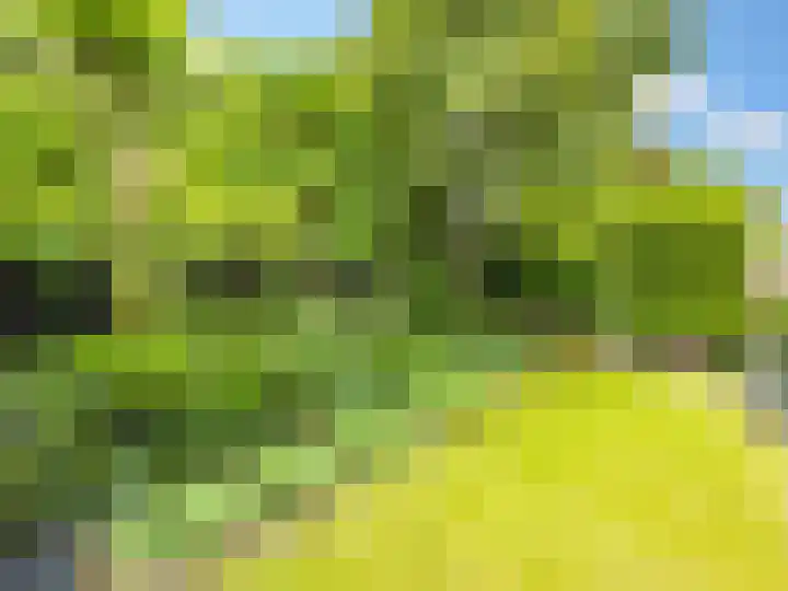le Maitreweg 8 Renkum thumbnail 24