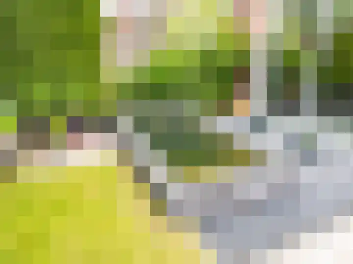 le Maitreweg 8 Renkum thumbnail 25