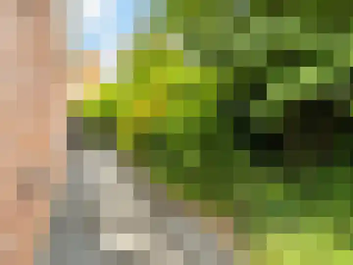 le Maitreweg 8 Renkum thumbnail 26