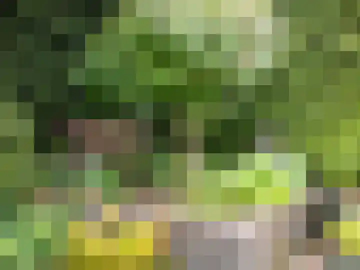 le Maitreweg 8 Renkum thumbnail 28