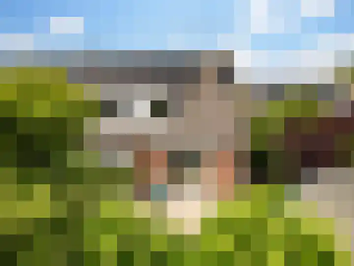 le Maitreweg 8 Renkum thumbnail 29