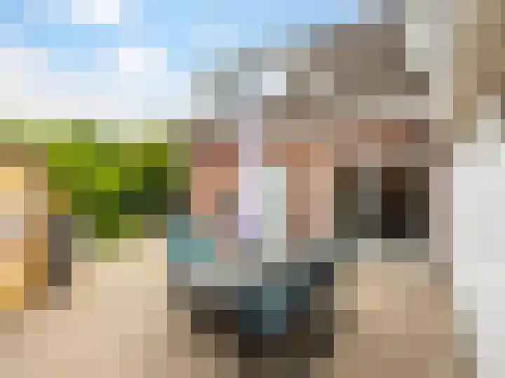 le Maitreweg 8 Renkum thumbnail 4