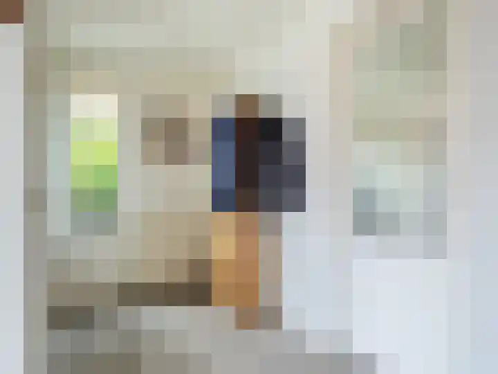 le Maitreweg 8 Renkum thumbnail 5