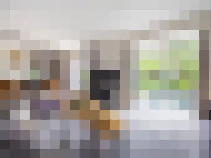 le Maitreweg 8 Renkum thumbnail 6