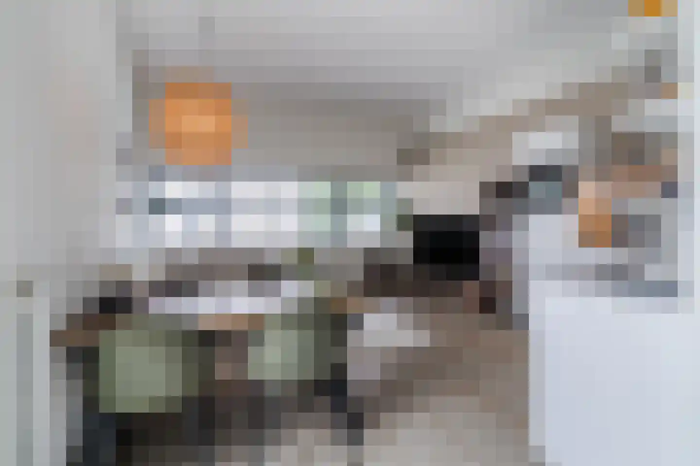 Le Sage ten Broeklaan 11 23 Eindhoven thumbnail 18