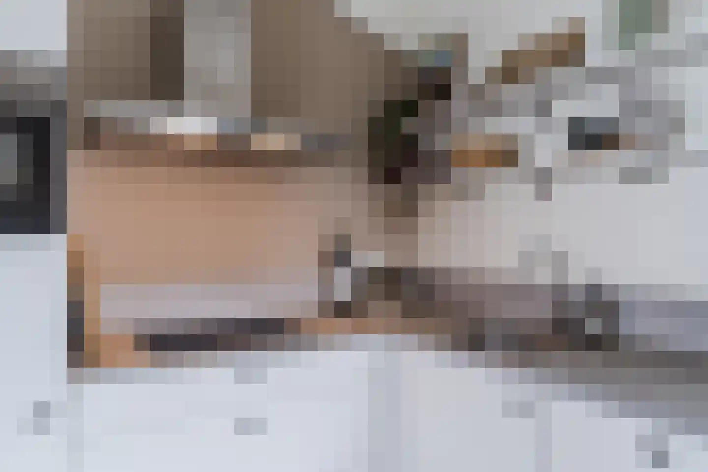 Le Sage ten Broeklaan 11 23 Eindhoven thumbnail 20