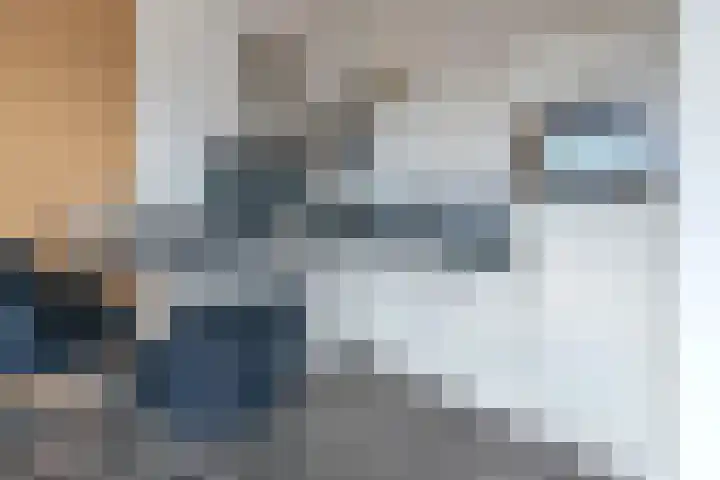 Le Sage ten Broeklaan 11 35 Eindhoven thumbnail 10
