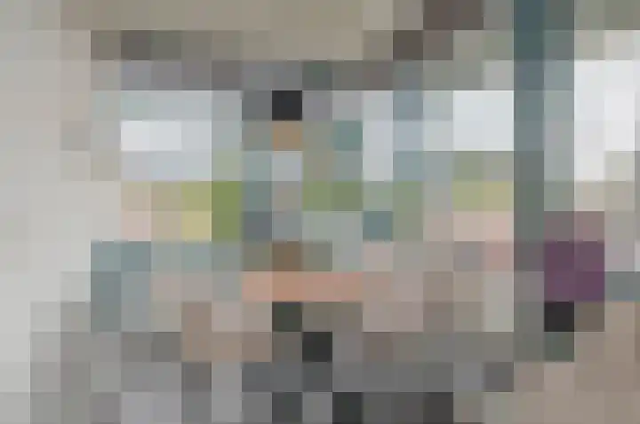 Le Sage ten Broeklaan 11 35 Eindhoven thumbnail 12