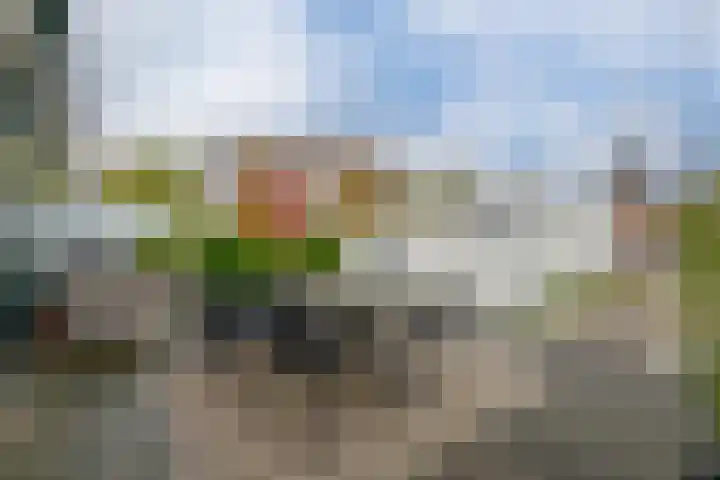 Le Sage ten Broeklaan 11 35 Eindhoven thumbnail 13