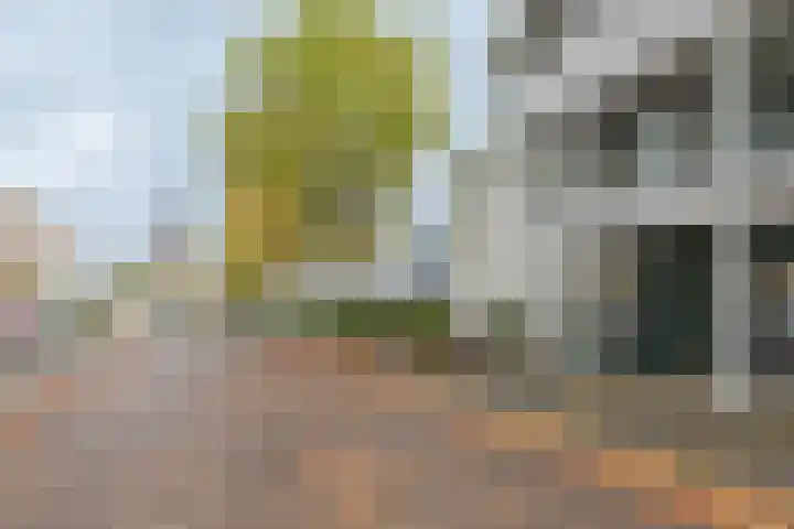 Le Sage ten Broeklaan 11 35 Eindhoven thumbnail 19