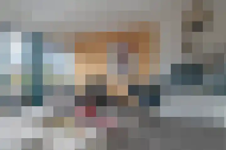 Le Sage ten Broeklaan 11 35 Eindhoven thumbnail 8