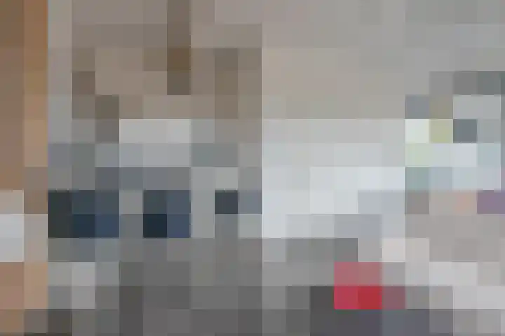 Le Sage ten Broeklaan 11 35 Eindhoven thumbnail 9