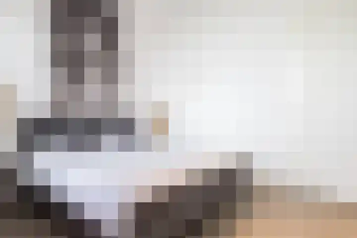 Le Sage ten Broeklaan 11 Eindhoven thumbnail 16