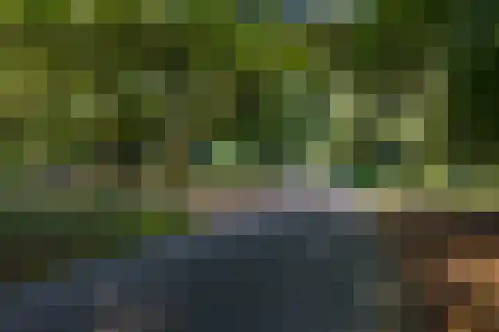 Le Sage ten Broeklaan 11 Eindhoven thumbnail 25