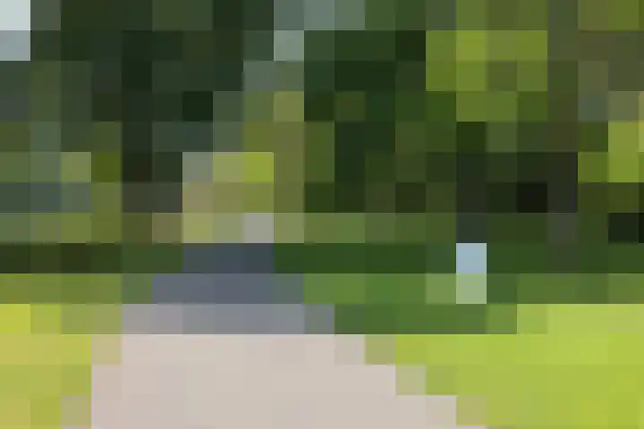 Le Sage ten Broeklaan 11 Eindhoven thumbnail 26
