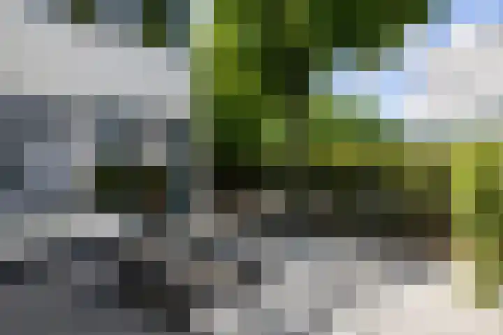 Le Sage ten Broeklaan 11 Eindhoven thumbnail 5