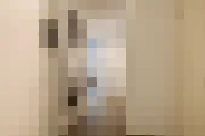 Le Sage ten Broeklaan 11 Eindhoven thumbnail 6