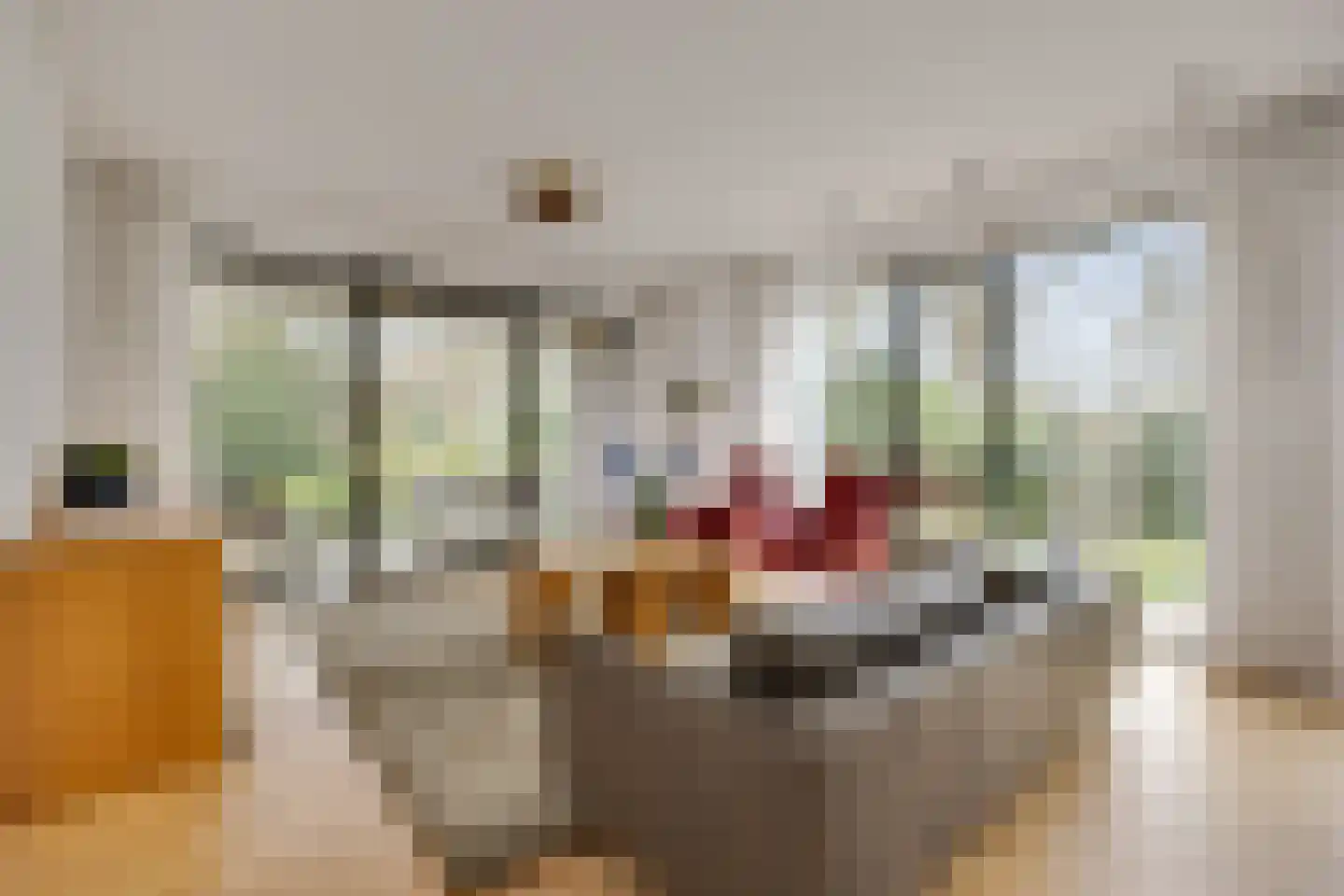 Le Sage ten Broeklaan 17 07 Eindhoven thumbnail 24