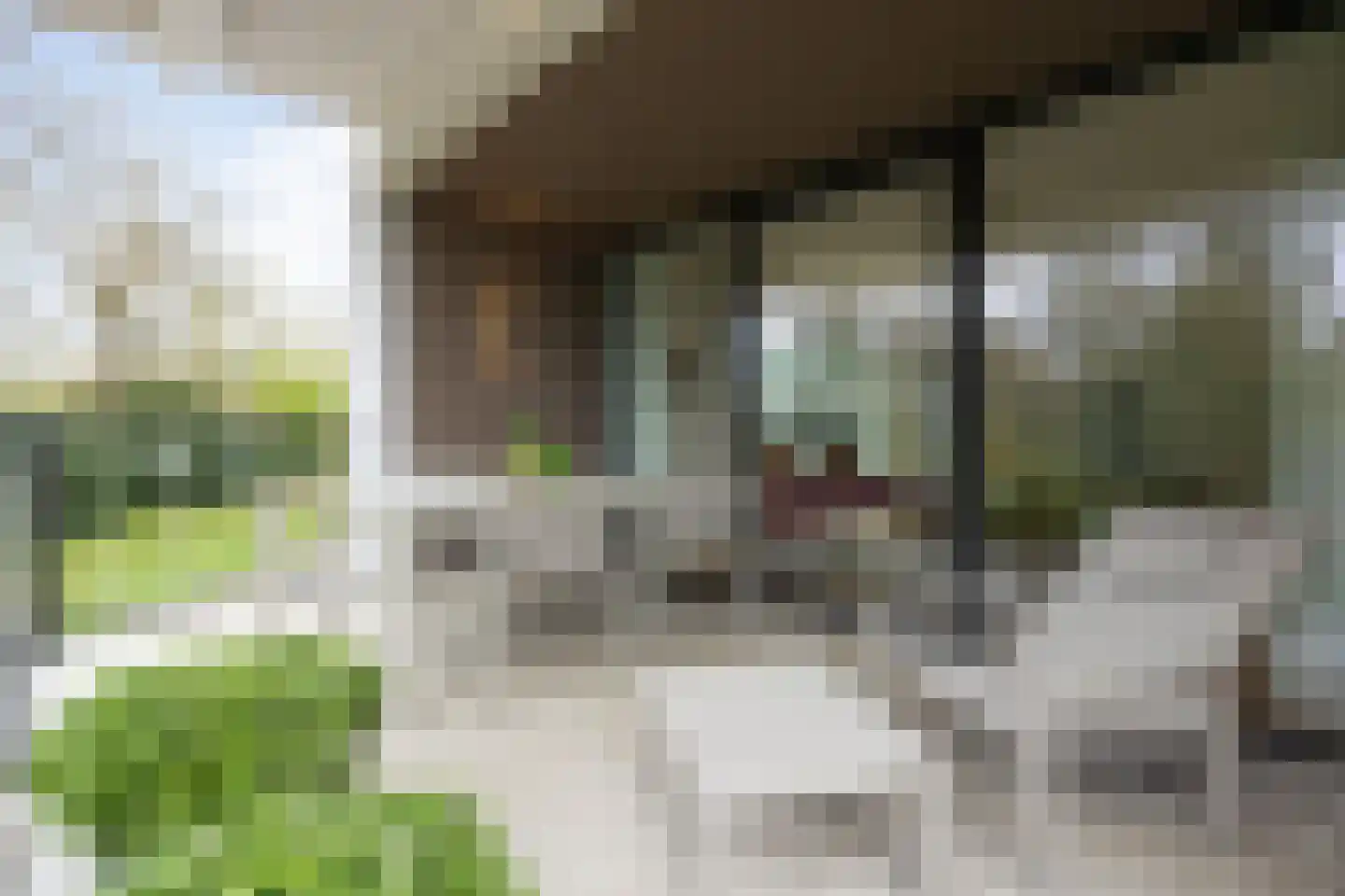 Le Sage ten Broeklaan 17 07 Eindhoven thumbnail 32