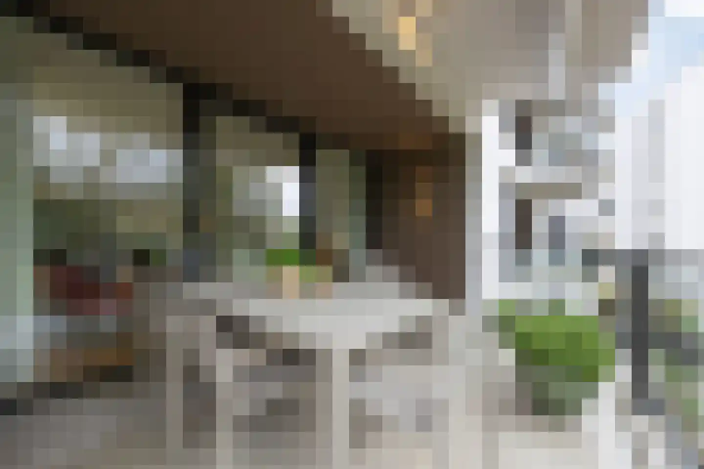 Le Sage ten Broeklaan 17 07 Eindhoven thumbnail 33