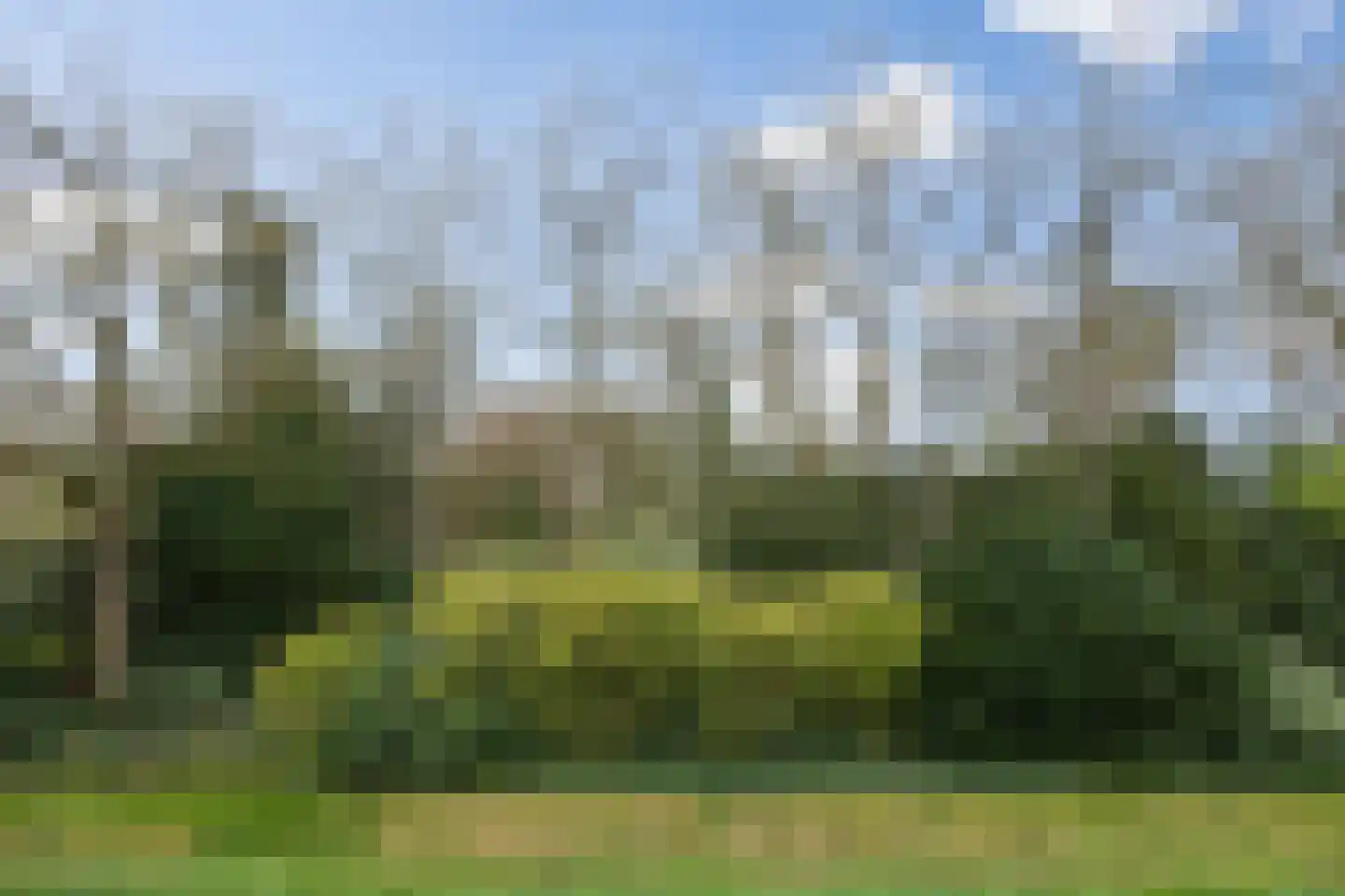 Le Sage ten Broeklaan 17 07 Eindhoven thumbnail 36