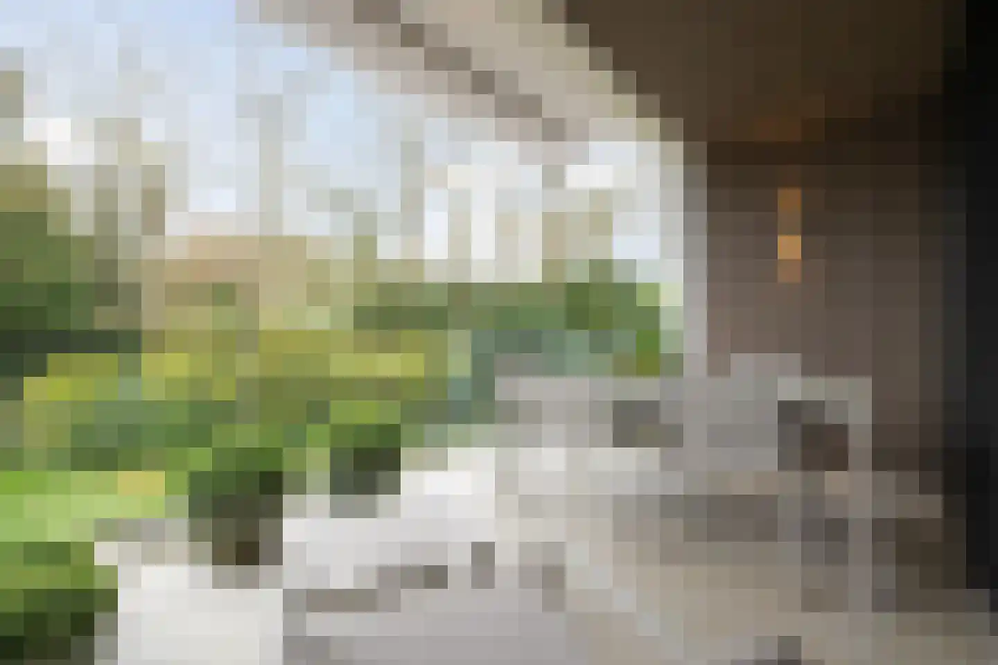 Le Sage ten Broeklaan 17 07 Eindhoven thumbnail 4