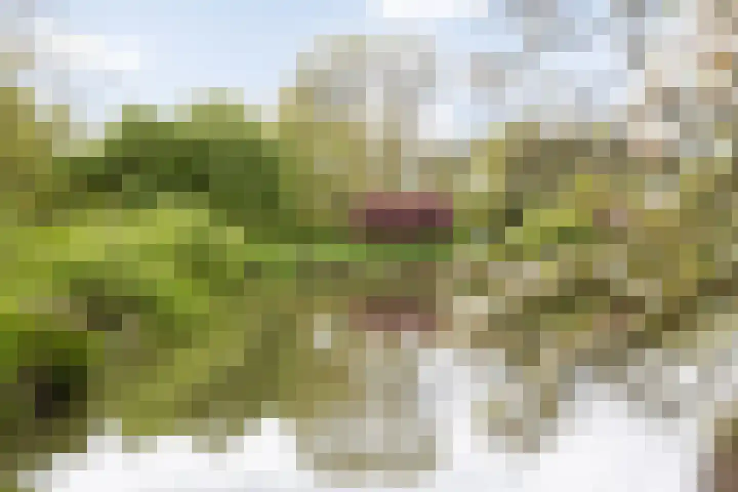 Le Sage ten Broeklaan 17 07 Eindhoven thumbnail 42