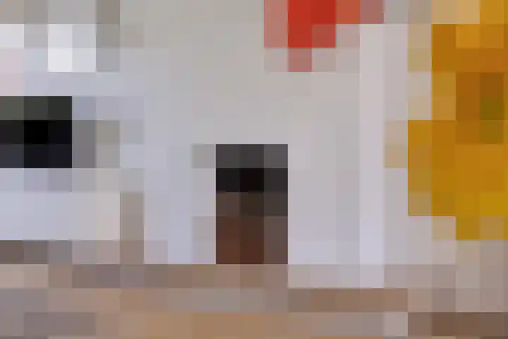 Le Sage ten Broeklaan 89 Eindhoven thumbnail 12