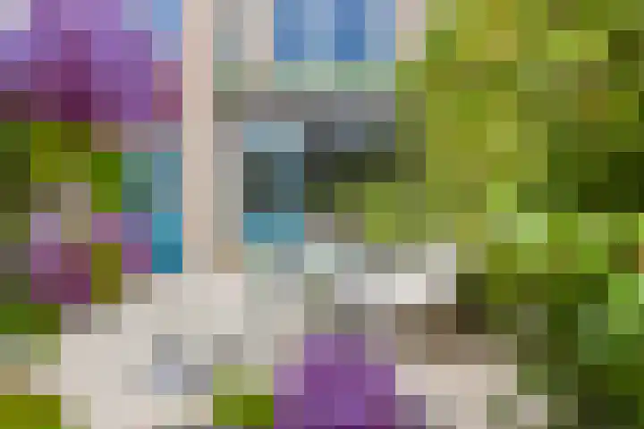 Le Sage ten Broeklaan 89 Eindhoven thumbnail 36
