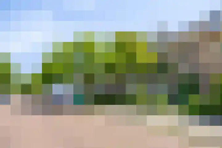Le Sage ten Broeklaan 89 Eindhoven thumbnail 37